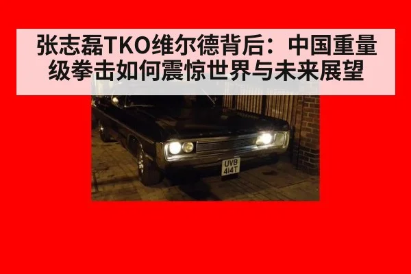 张志磊TKO维尔德背后：中国重量级拳击如何震惊世界与未来展望