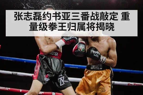 张志磊约书亚三番战敲定 重量级拳王归属将揭晓