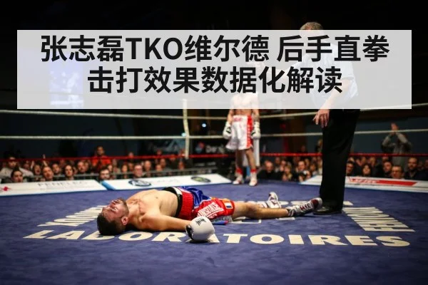 张志磊TKO维尔德 后手直拳击打效果数据化解读