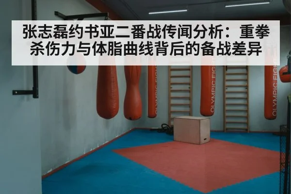 张志磊约书亚二番战传闻分析：重拳杀伤力与体脂曲线背后的备战差异