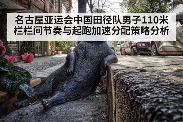 名古屋亚运会中国田径队男子110米栏栏间节奏与起跑加速分配策略分析